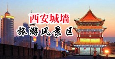 操逼流水视频www中国陕西-西安城墙旅游风景区